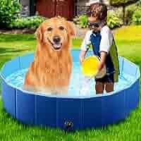 Small Pool Foldable Dog Pool, Kiddie Pool Hard Plastic Pool For