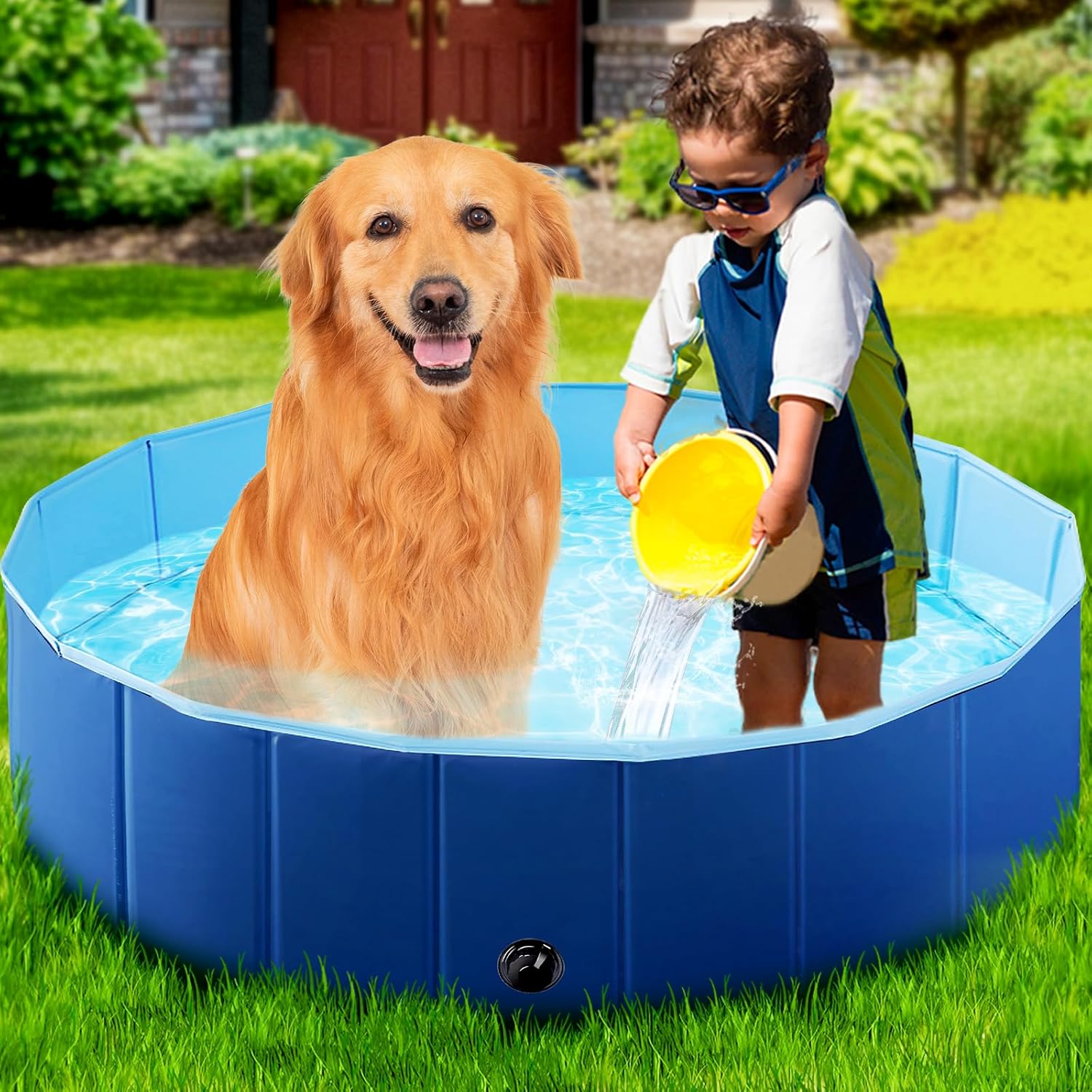 StarOcean Foldable Dog Pool, Kiddie Pool Hard Djibouti Ubuy