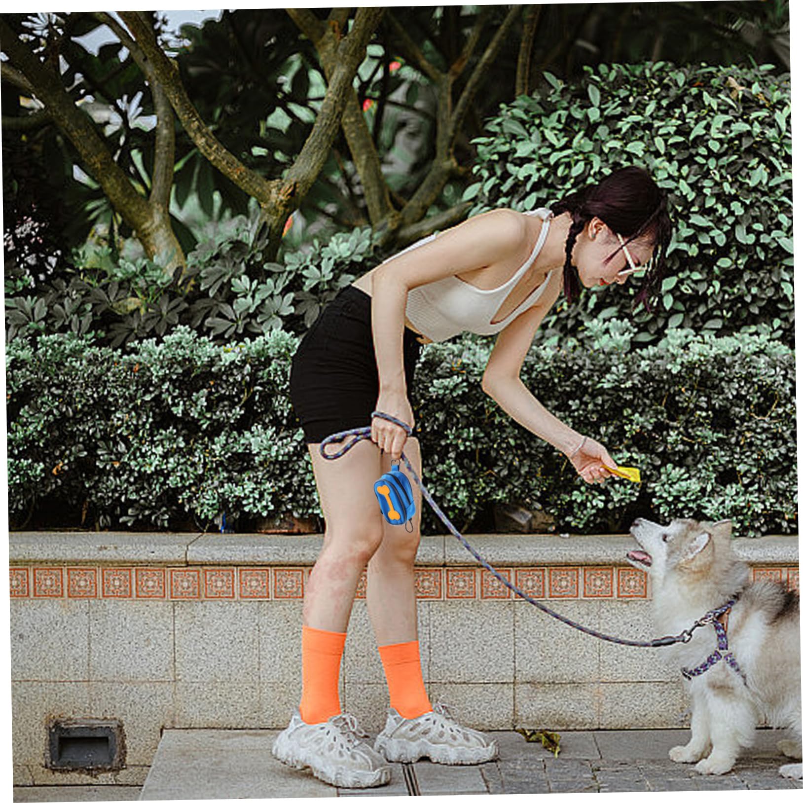 Mikikit Dispensador Portátil de Bolsas para Excrementos de Perro con 8 Rollos, Bolsa de Tela Oxford con Cremallera para Correa, Adecuado para Paseos al Aire Libre