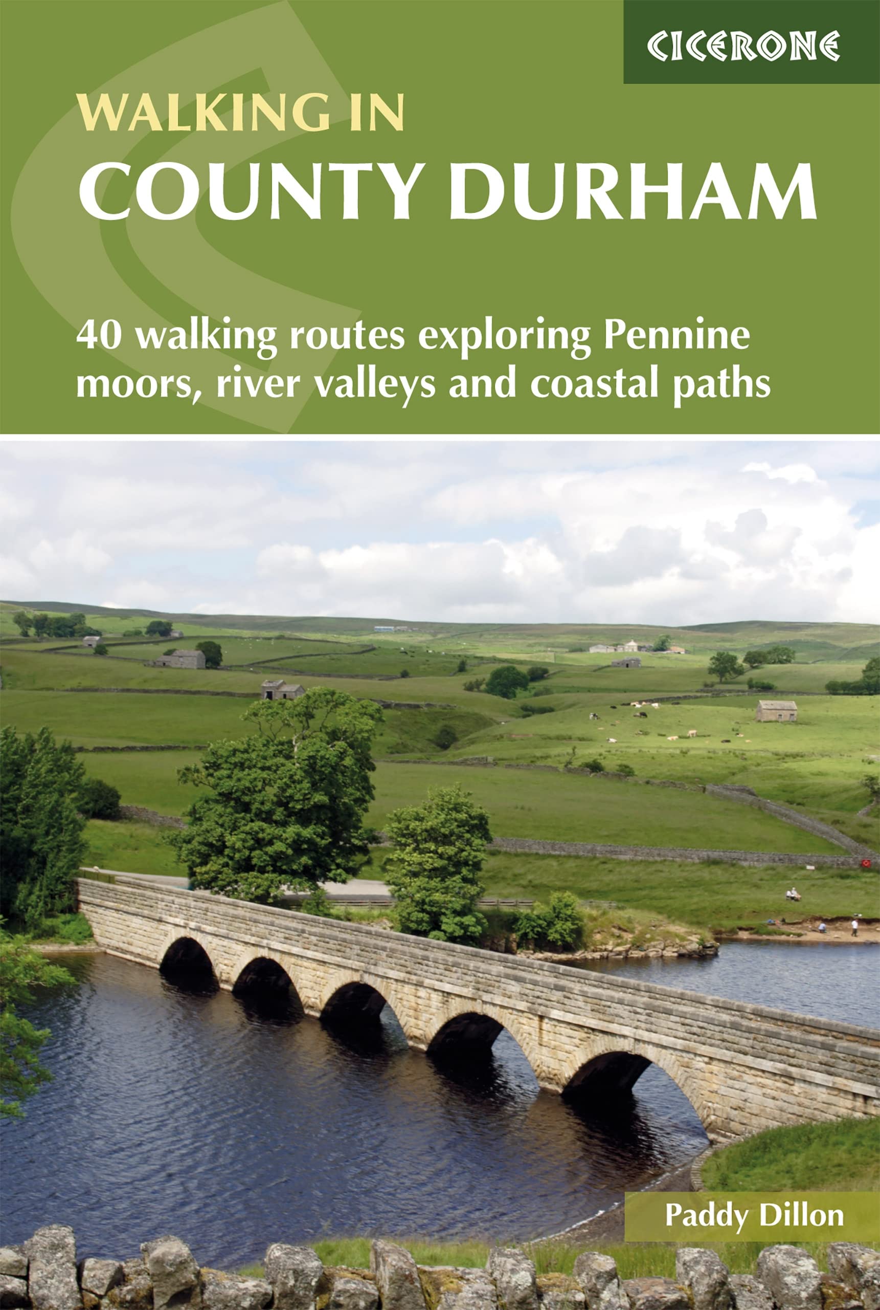 Walking in County Durham: 40 walking routes exploring Pennine moors, river valleys and coastal paths (Cicerone Walking Guides)