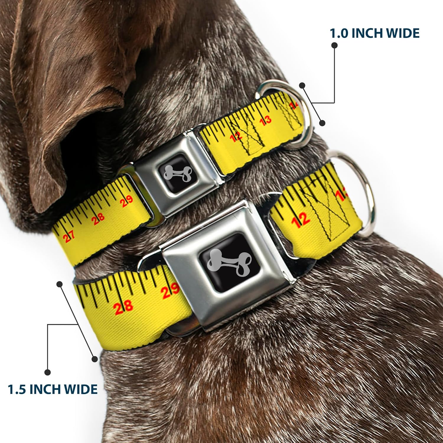 Dog Collar Seatbelt Buckle Measuring Tape Yellow Black Red 16 to 23 Inches 1.5 Inch Wide