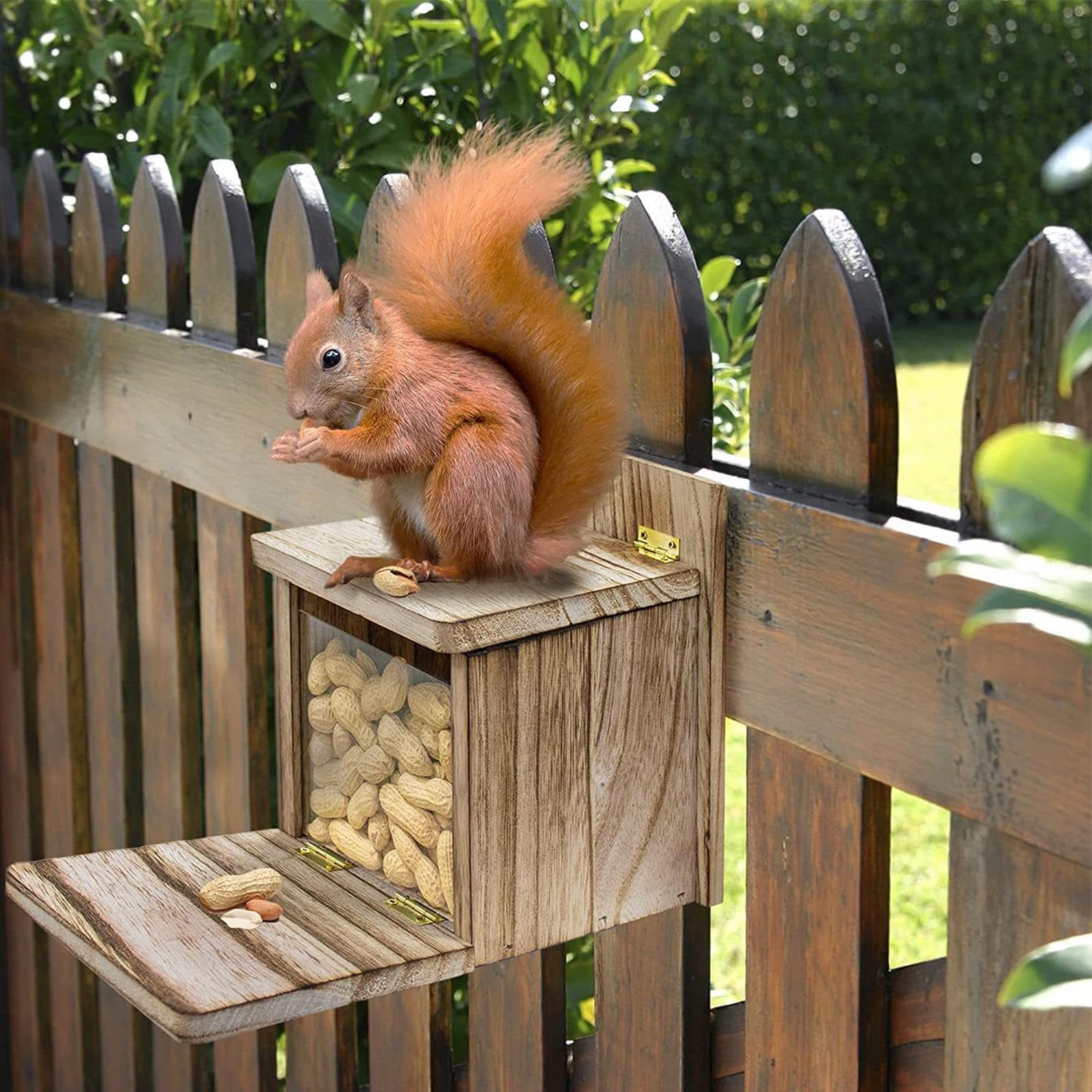 Eichhörnchen-Futterstation aus Holz, Eichhörnchen-Futterbox, Vogelfutterstationen for den Außenbereich – Multifunktionales Haustierzubehör for Bäume, Garten, Hof