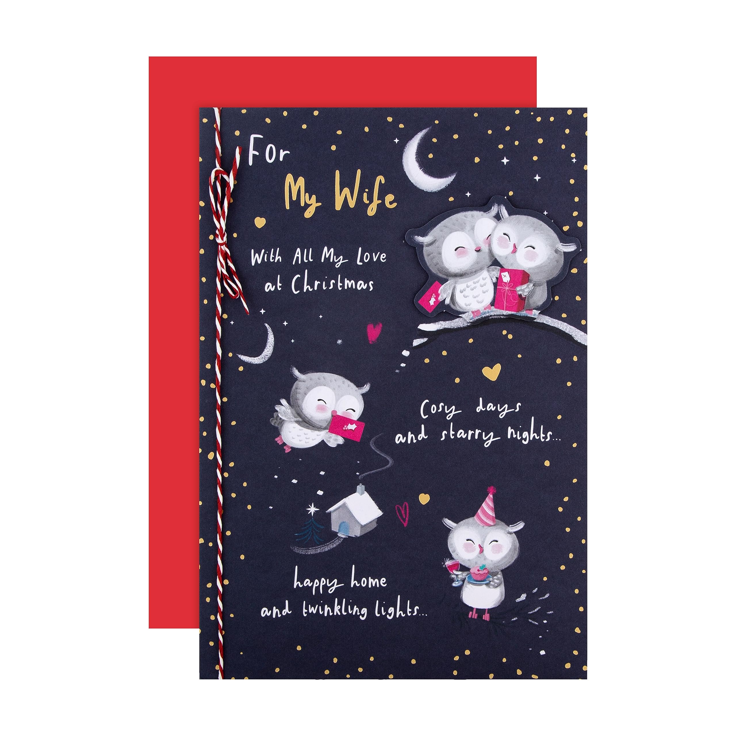 Hallmark Christmas Card, Wife Christmas Card, Cute Owl Designs, Gold Foil Details, Navy
