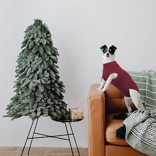 Miniatura 89 de Kuoser Traje de recuperación para perros y gatos después de la cirugía, camisa profesional de recuperación de mascotas, vendajes para heridas