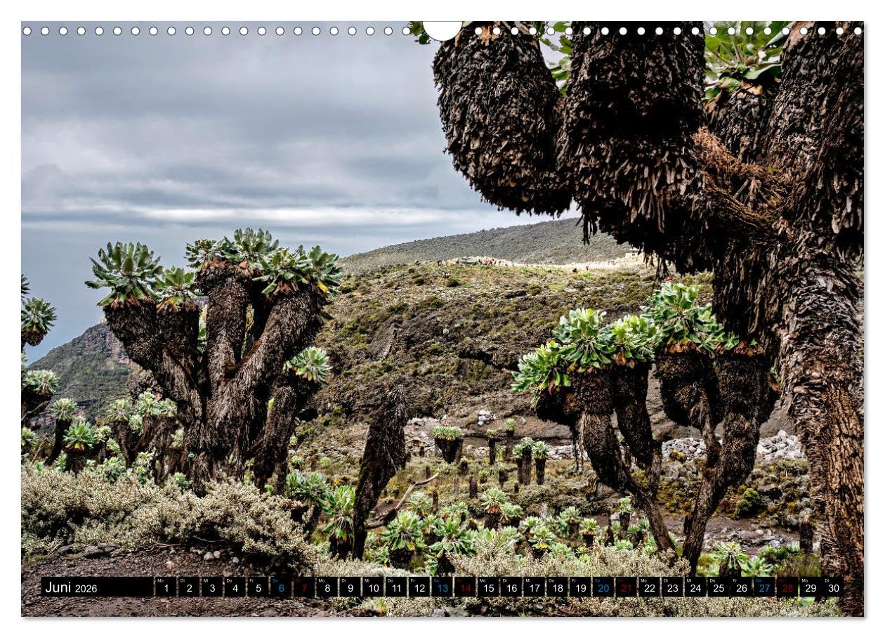 Kilimanjaro - das Dach Afrikas (Wandkalender 2026 DIN A3 quer), CALVENDO Monatskalender: Der höchste Berg Afrikas und einer der berühmtesten freistehenden Berge der Welt (CALVENDO Orte)