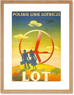 TRAVEL TRANSPORT AIRLINE PLANE POLAND SILHOUETTE FLIGHT FRAMED PRINT B12X7352