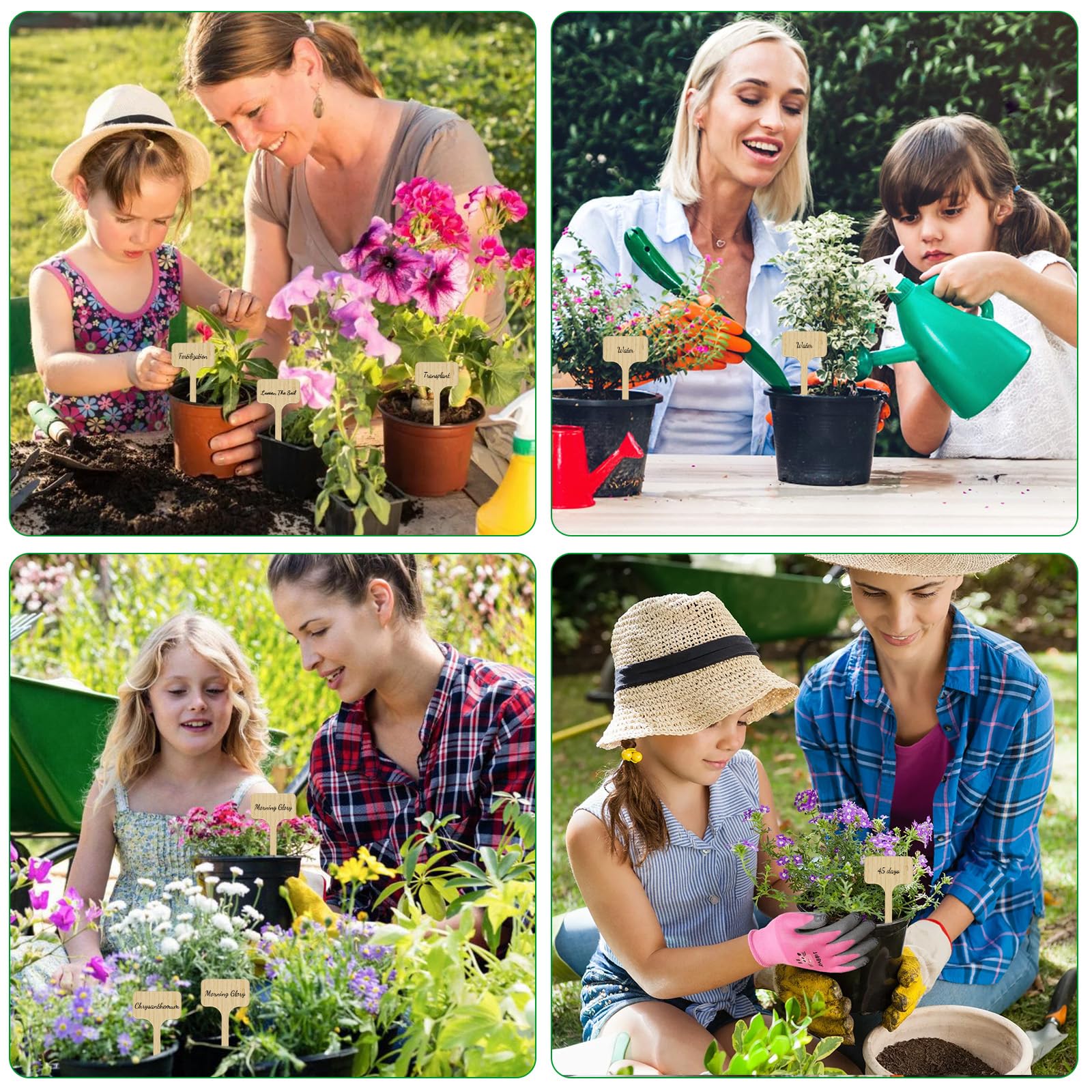 Cartel para plantas de madera con rotulador para plantas, de bambú, extralargo, en forma de T, para verduras, hierbas, flores, (altura: 18 cm x ancho: 6 cm)