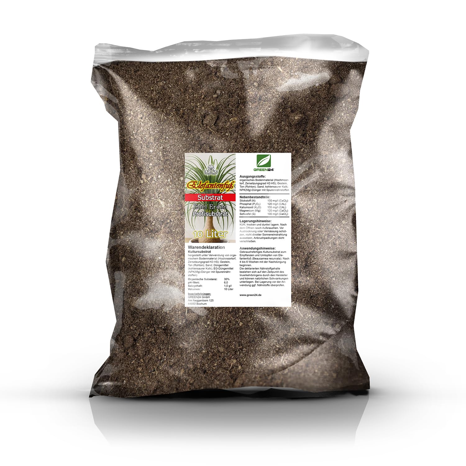 fargesia pingwu Fargesia robusta 'Pingwu' / Hoher Heckenbambus