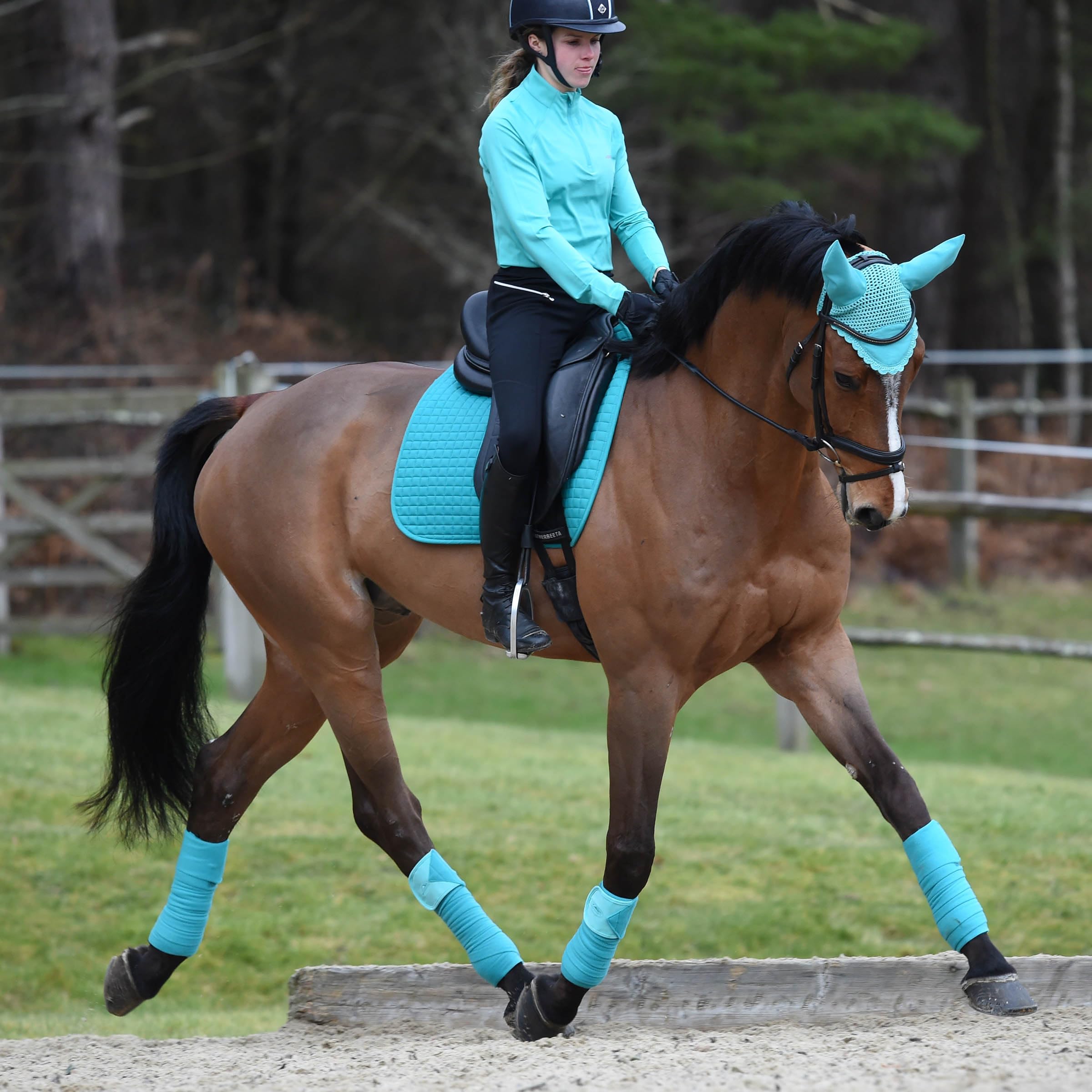 WeatherBeeta - Tapis de selle PRIME - Cheval (Pony) (Turquoise)