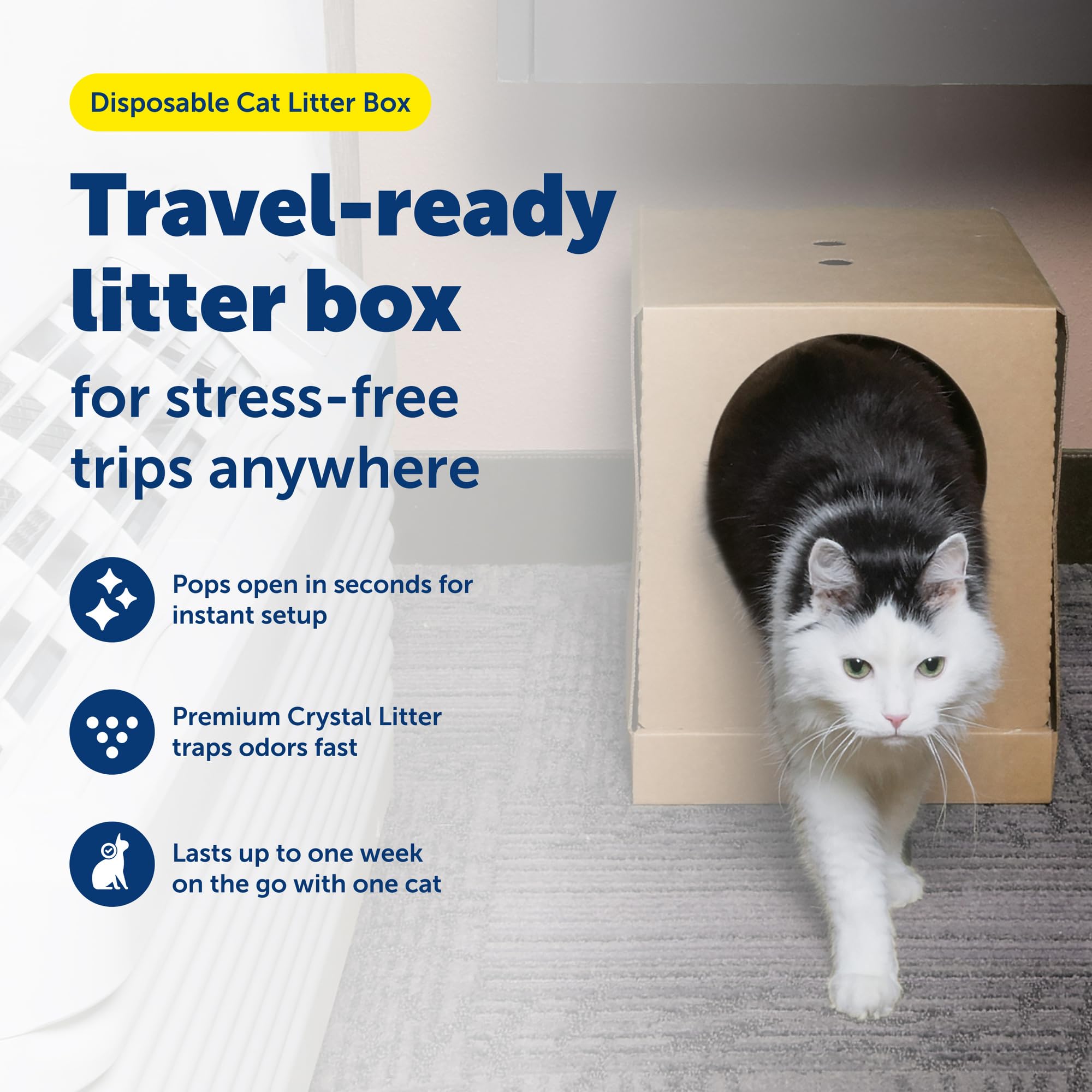 PetSafe Caja de Arena desechable para Gatos, diseño Plegable Cubierto para Viajes, de The Makers of ScoopFree, Caja de Arena autolimpiable, Incluye Arena para Gatos de Cristal Azul Original de 4.4