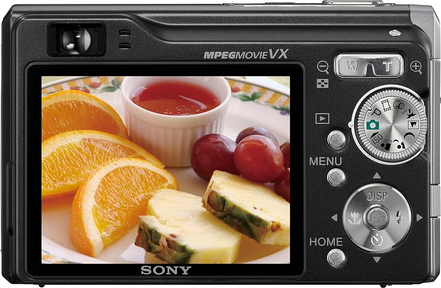 Amazon.com : Sony Cybershot DSCW90 8.1MP Digital Camera with