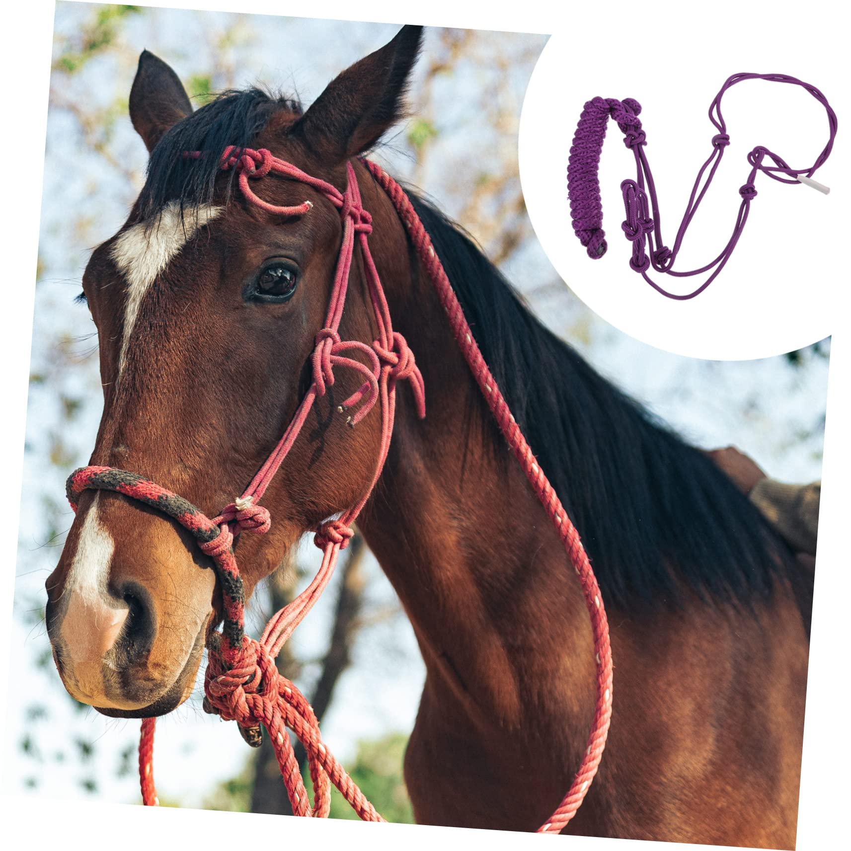Cabezada De Cuerda Resistente para Caballos Accesorio Profesional De Entrenamiento Duradera y Cómoda Adecuada para Montar y Control Equino