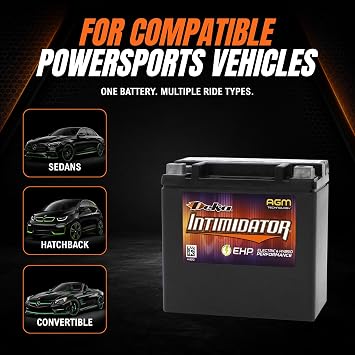 Deka AUX14 Automotive AGM Auxiliary Battery (200 CCA)