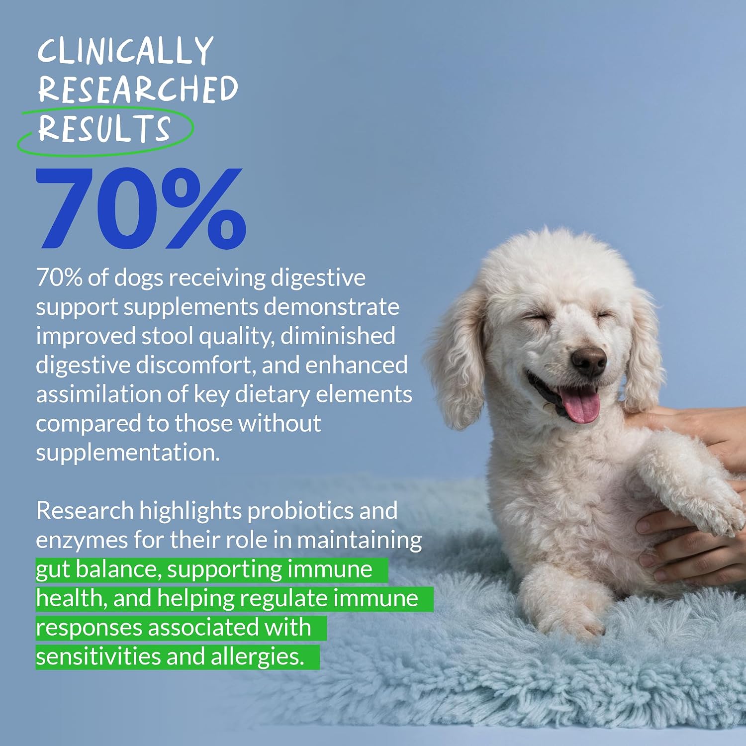 Probiotics for Dogs - 120 Chewable Tablets - Diarrhea & Gas Support - with Honey Pumpkin and Prebiotics for Dog Allergies, Bad Breath & Constipation Support
