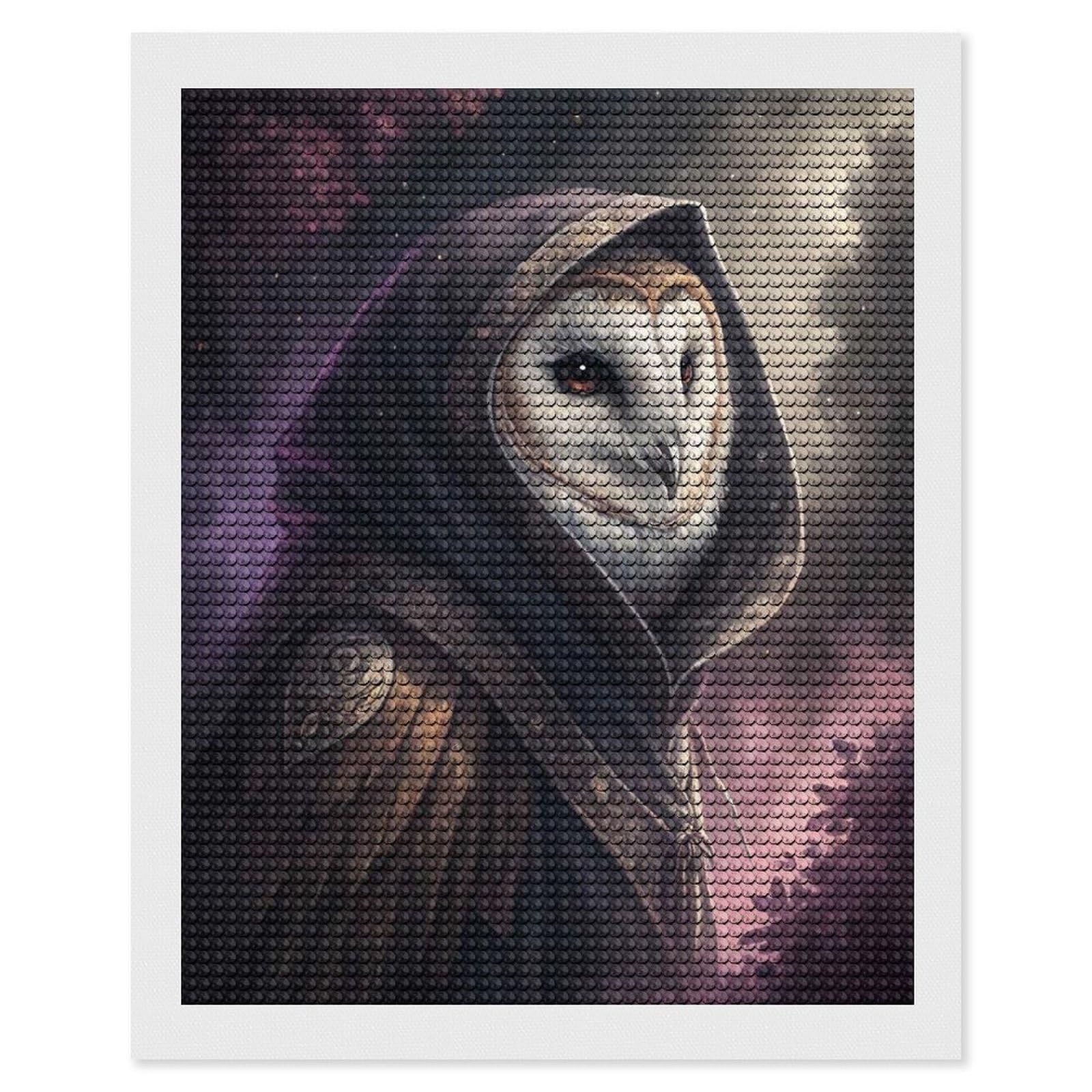 Junmoney Mysterious Hooded Owl Wizard Diamond Painting Set 16"x20", Modern Decor, for Beginners, Printed Canvas, Thoughtful Handmade Gift, with Tool Kit