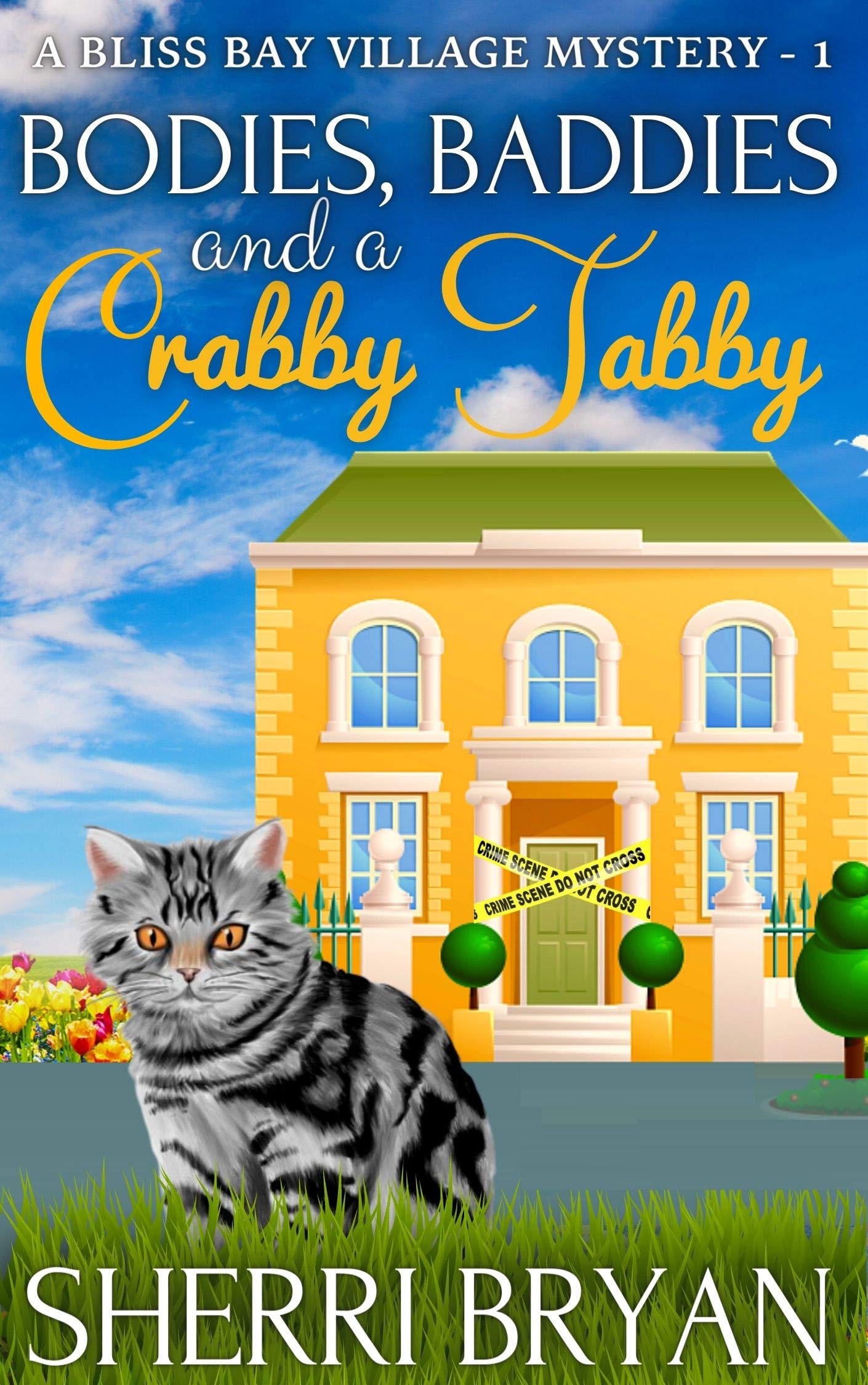 Bodies, Baddies, and a Crabby Tabby (A Bliss Bay Village Mystery Book 1)