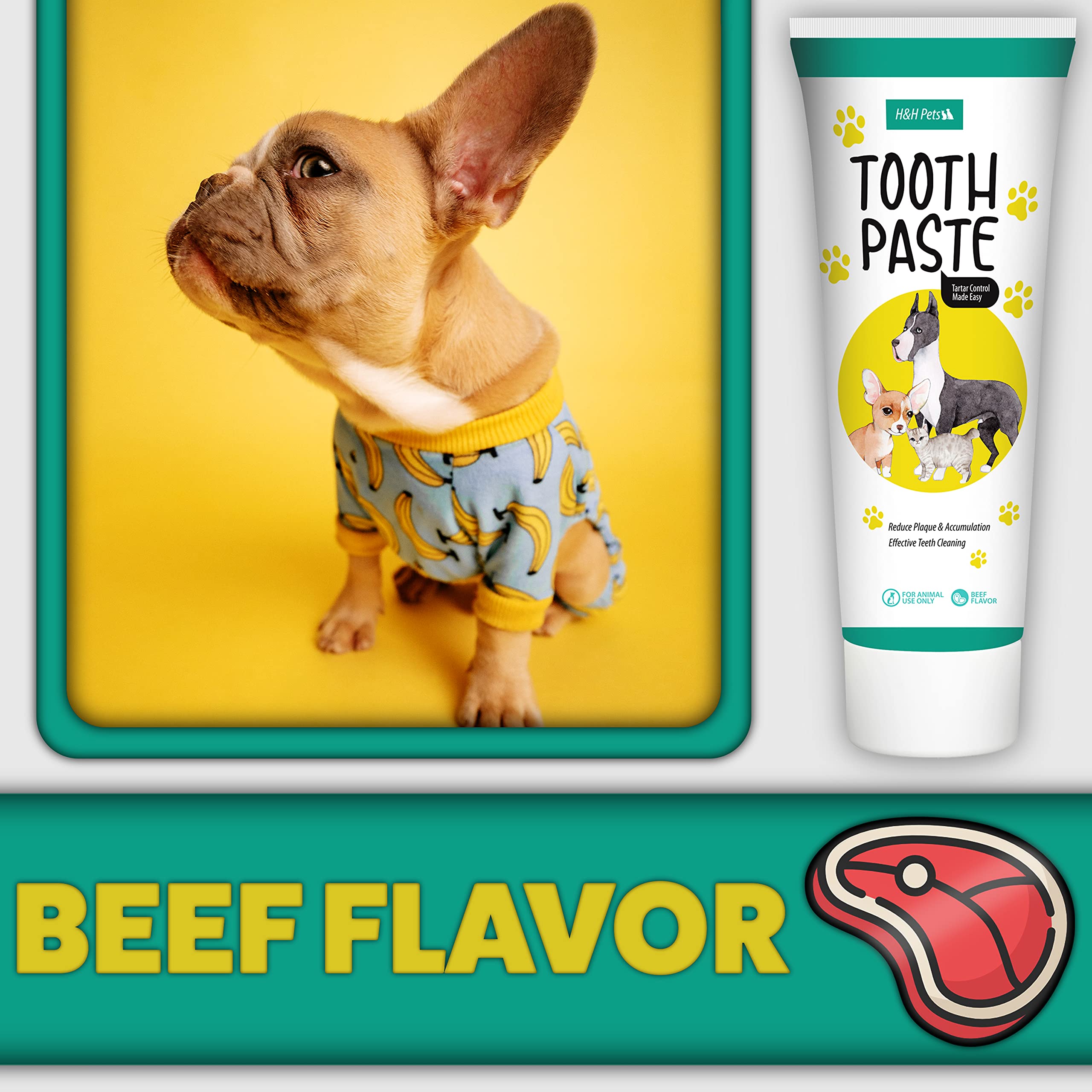 Can You Use Toothpaste On Dogs