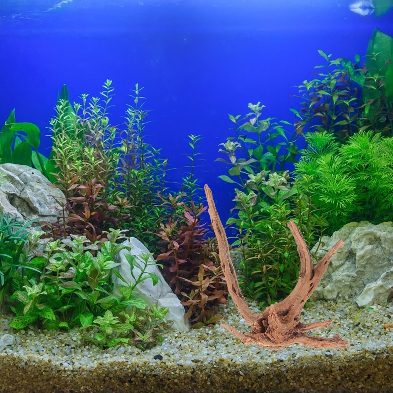 Happyyami 3piezas Decoración Natural De Flotante para y Terrarios Driftwood para Peceras y Paisajismo Acuático Diseño y Seguro para y Reptiles