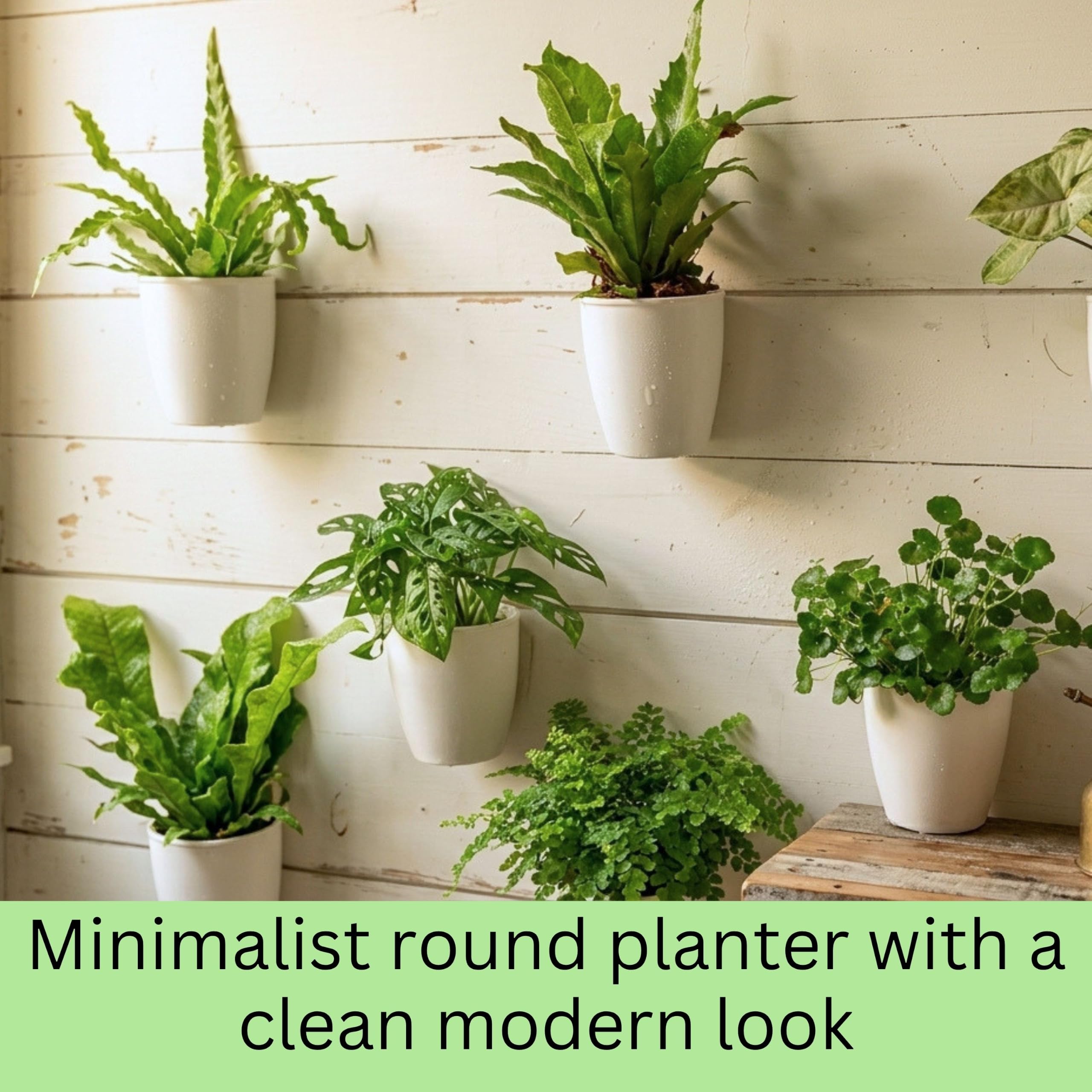 LaLaGreen Wall Mounted Planters for Indoor Plants - 10 Pack, 5