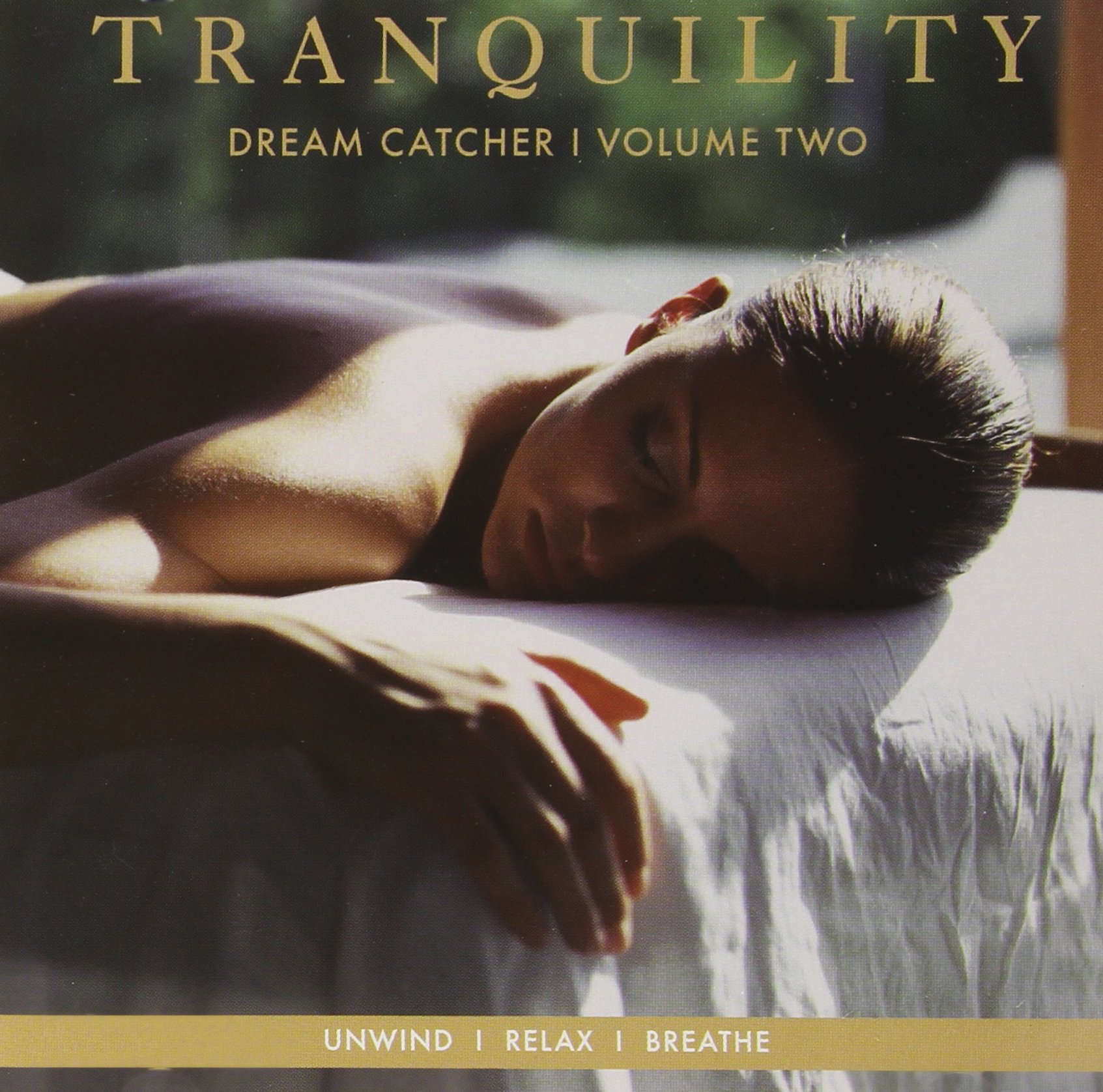 V2 Tranquilityream Catcher [Audio CD]