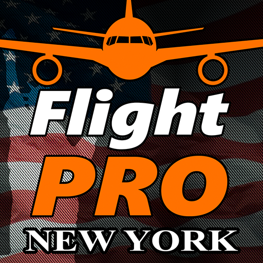 Pro Flight Simulator 2 - New York