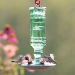 Perky-Pet 8108-2 Green Antique Bottle 10 oz. Glass Hummingbird Feeder