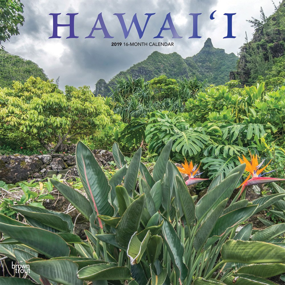 Hawaii 2019 12 x 12 Inch Monthly Square Wall Calendar with Foil Stamped Cover, USA United States of America Noncontiguous State Nature (Multilingual Edition)