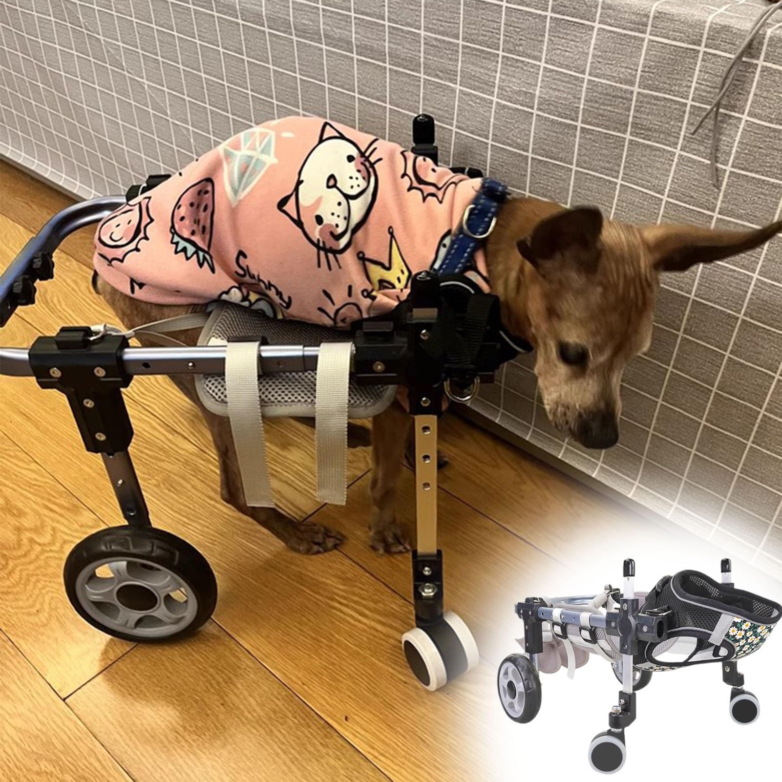 Fauteuil roulant pour chien pour retrouver le plaisir des balades