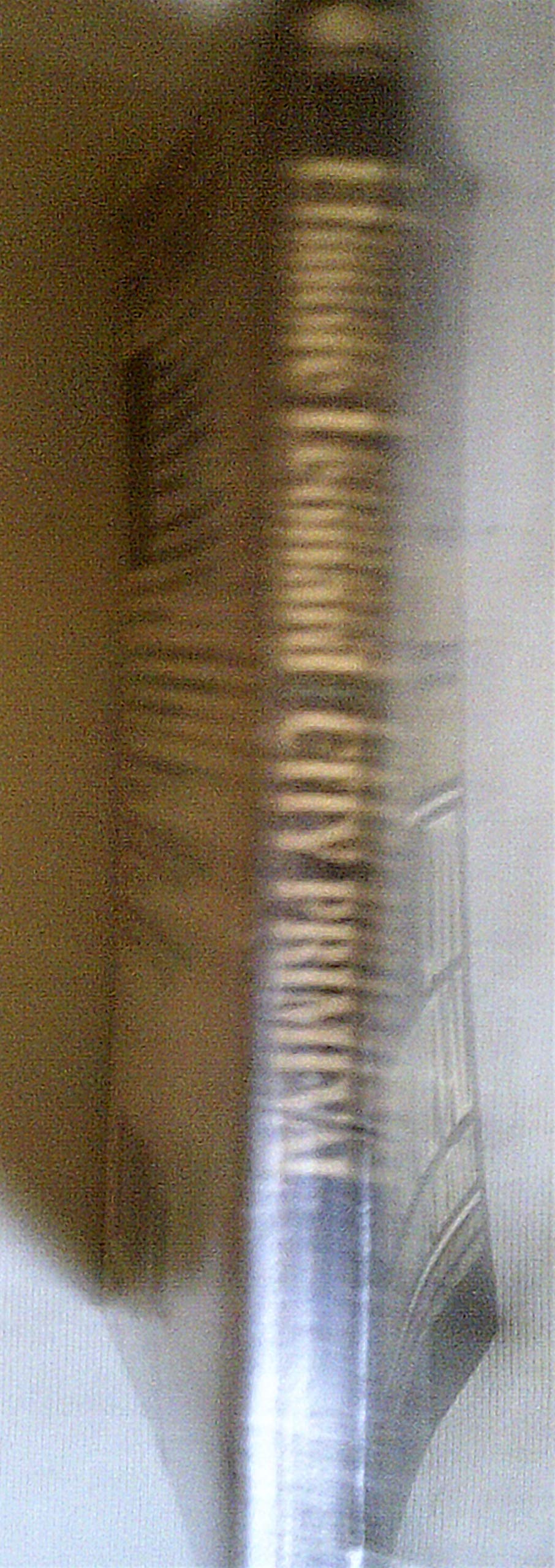 City Primeval Co Leonard, Elmore - PT01