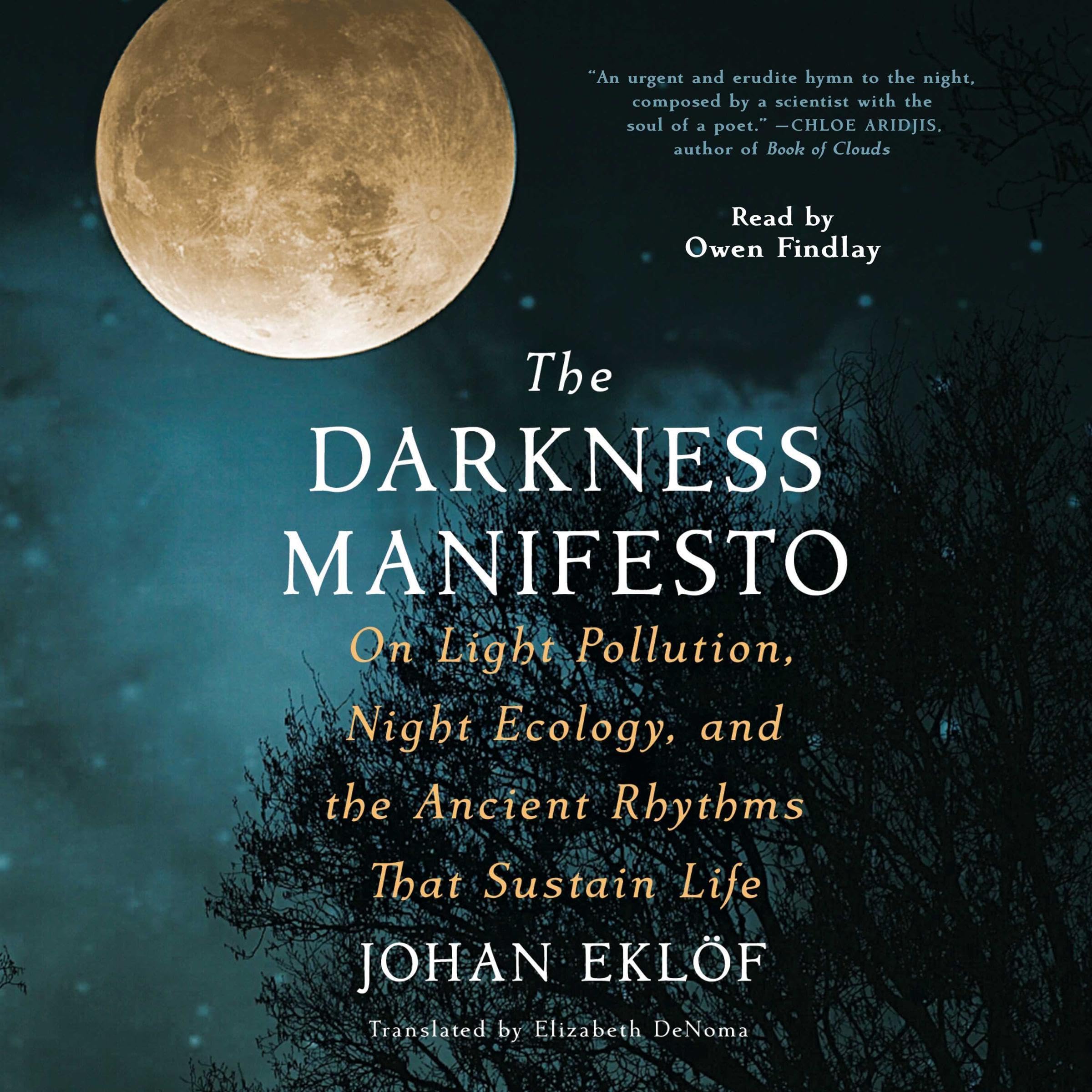 Cover art for The Darkness Manifesto