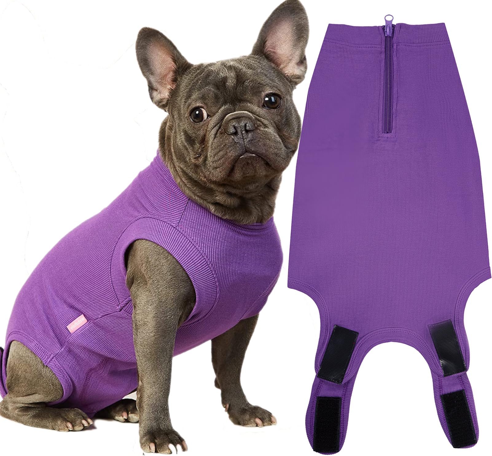 Recovery Suit for Female Dogs, Dog Cone Alternative After Spay