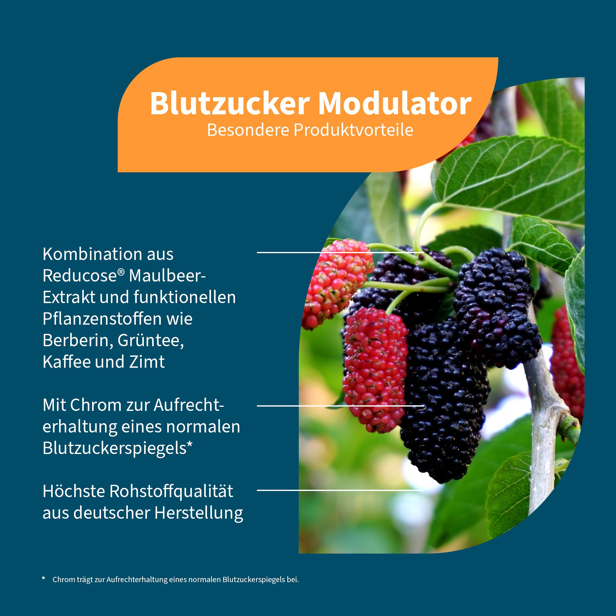 NatuGena BlutzuckerModulator, 250 mg Berberin pro Tagesdosis, Reducose Maulbeer-Extrakt, Chrom, Zink, Vitamine B1 und B6, 60 Kapseln (30 Tage Packung)