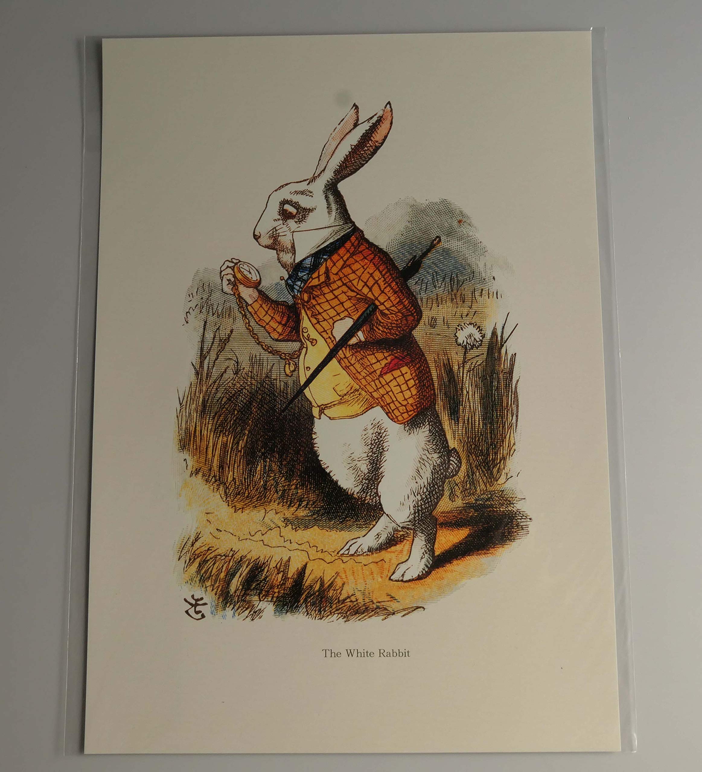Amazon.co.jp: BiblioArt Series 【特価】ジョン・テニエル「不思議の 