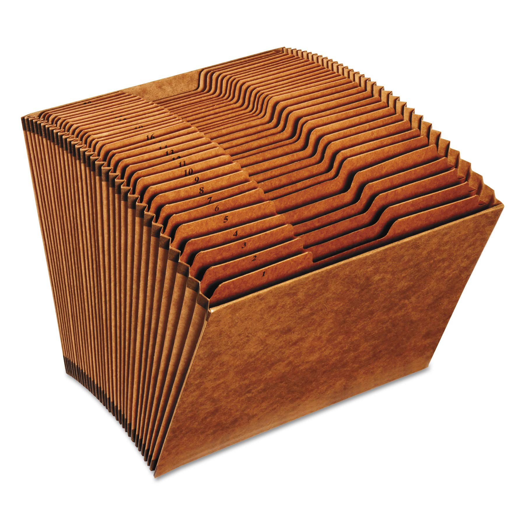 Amazon.com : Pendaflex R217DHD Heavy-Duty Expanding Open Top File