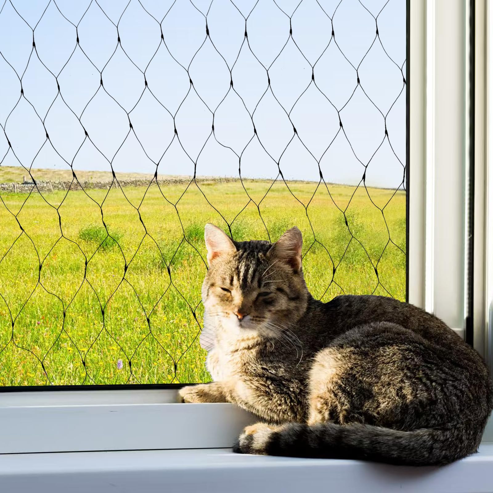 Siatka dla kota na balkon, bez wiercenia, ochrona przed kotami, na balkon, z 100 opaskami kablowymi, siatka na balkon, do ochrony kotów, ochrona przed upadkiem z balkonu, 4 x 10 m