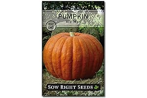 Sow Right Seeds - Pumpkin Seeds for a Bountiful Garden