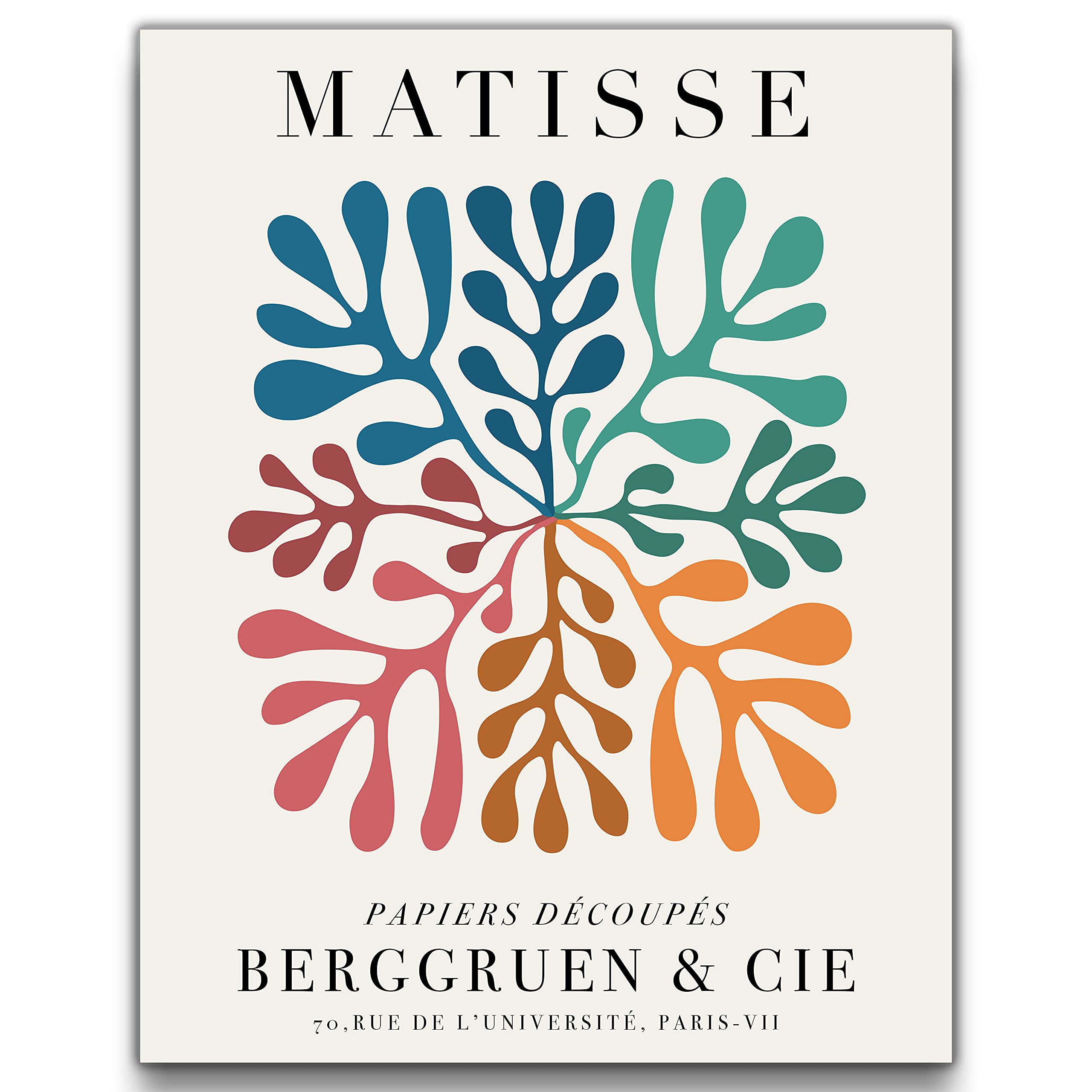 Amazon.com: Sage Light Design Co Matisse Colorful Paper Cut-Out