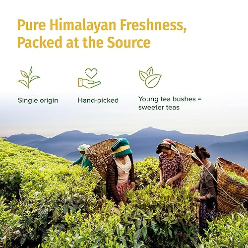 Miniatura 4 de NEPAL TEA - Tés de hojas sueltas (Kathmandu Cosmos - Té Chai, (1.7 oz  50 gs))