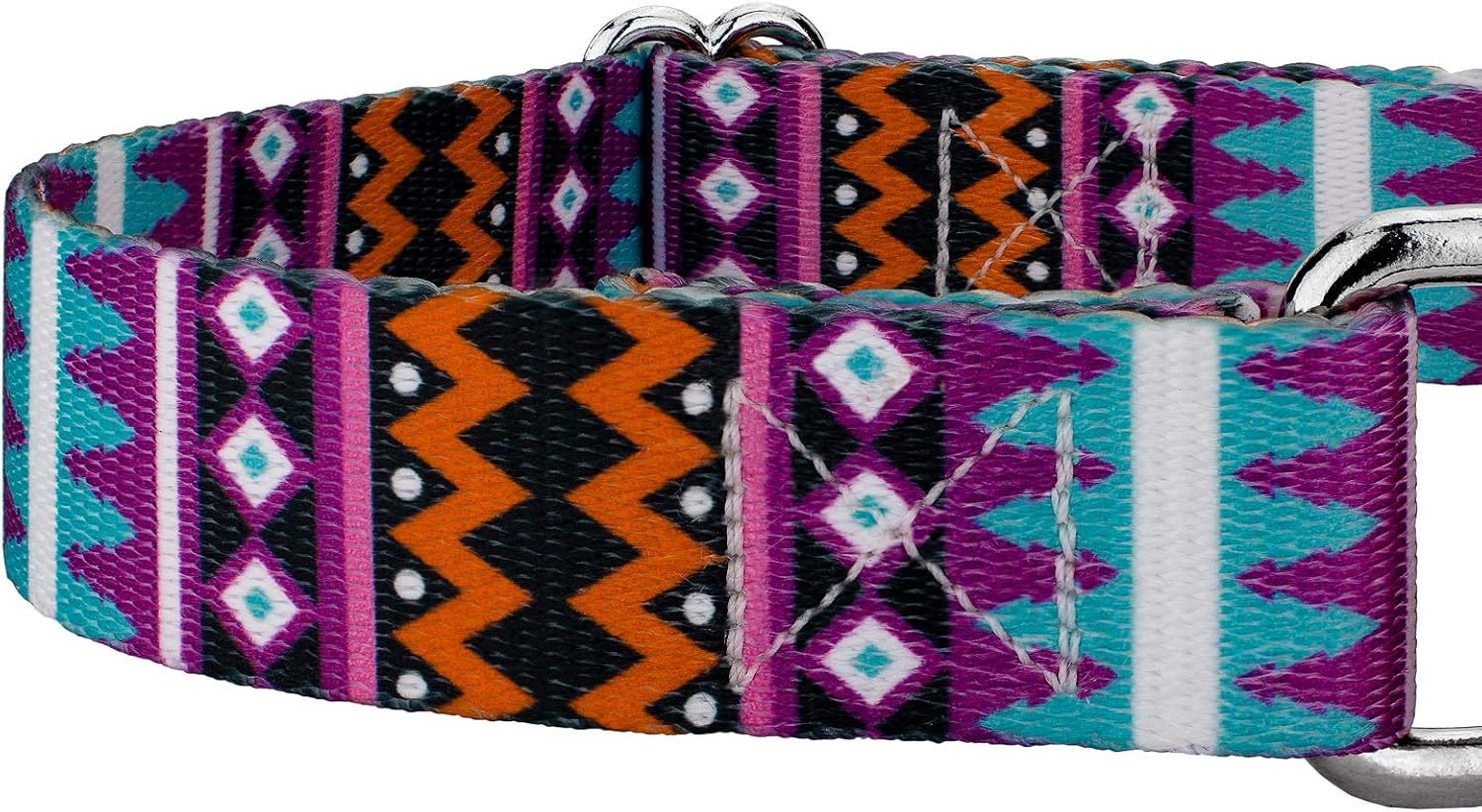 Country Brook Petz - Santa Fe Martingale Dog Collar and Leash - Country and Western Collection Featuring Rustic Designs (1 Inch, Medium)