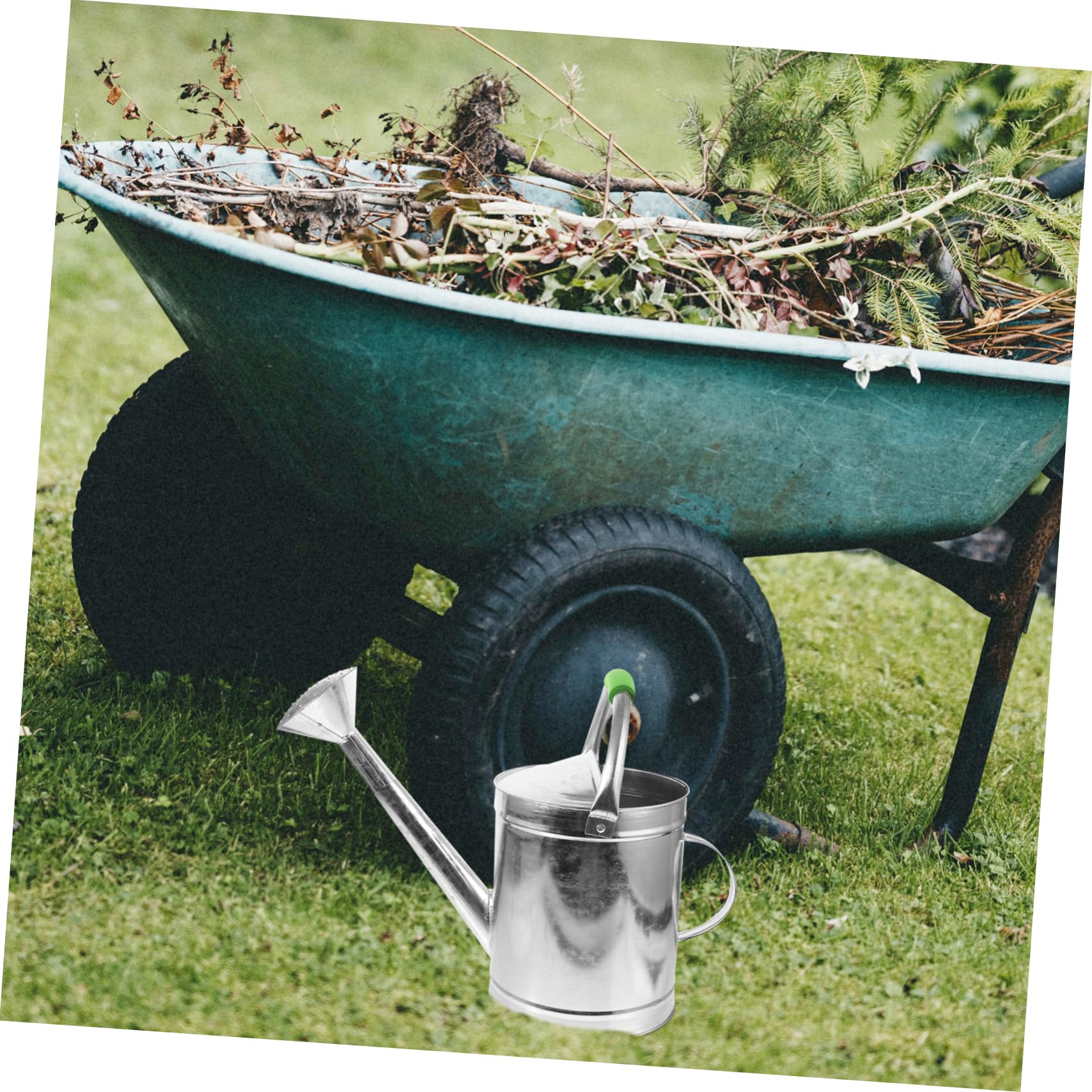 Abaodam Annaffiatoio Per Piant Interno Annaffiatoio Portatile Per Bonsai e Fiori Realizzato in Acciaio Inossidabile Resistente Alla Corrosione Per Innaffiare Piccole Piante in Vaso Scrivan