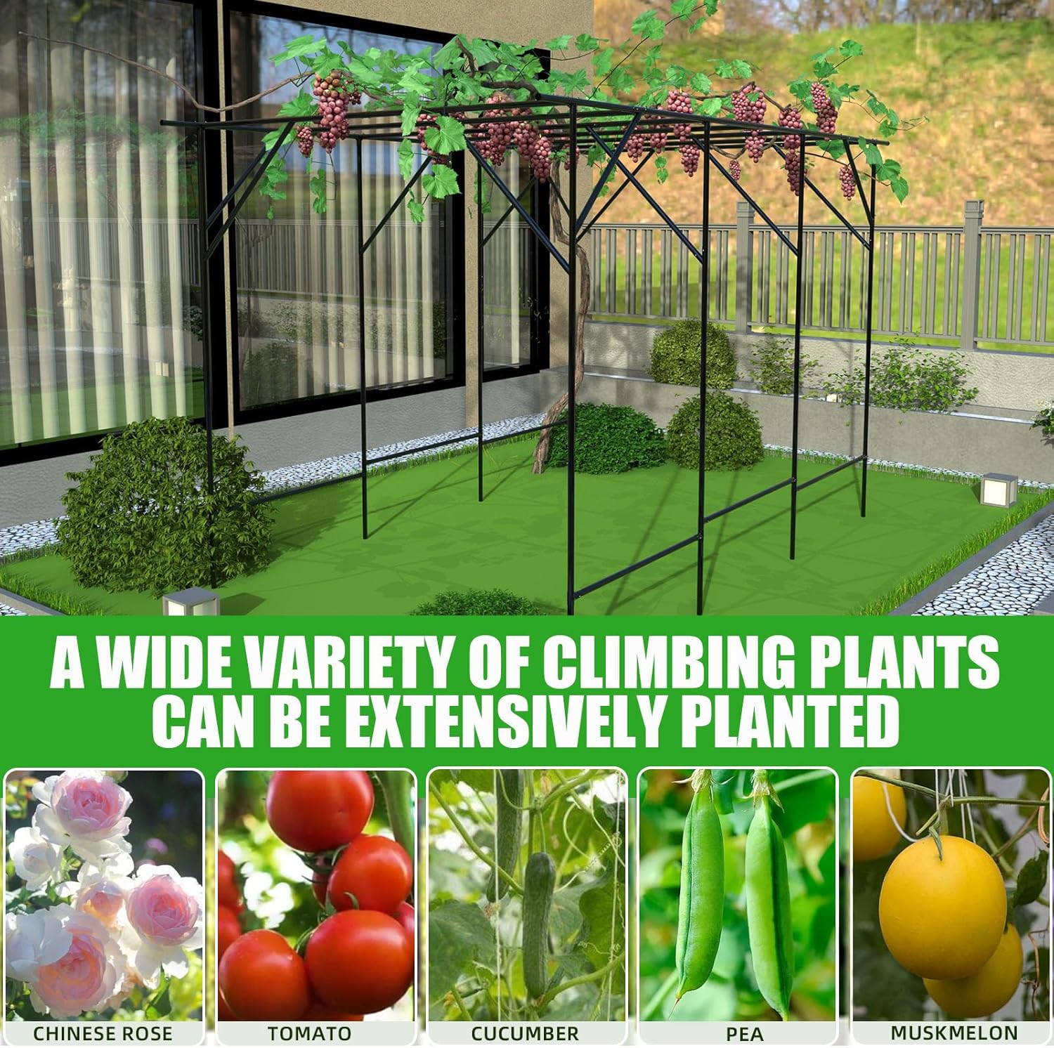 Grape Vine Trellis - Large Outdoor Garden Arch Trellis for Climbing Plants - Size: 78.7 * 59 * 78.5 inches, Plant Support Rack Trellises for Vegetables Fruits Cucumber Pea Bean