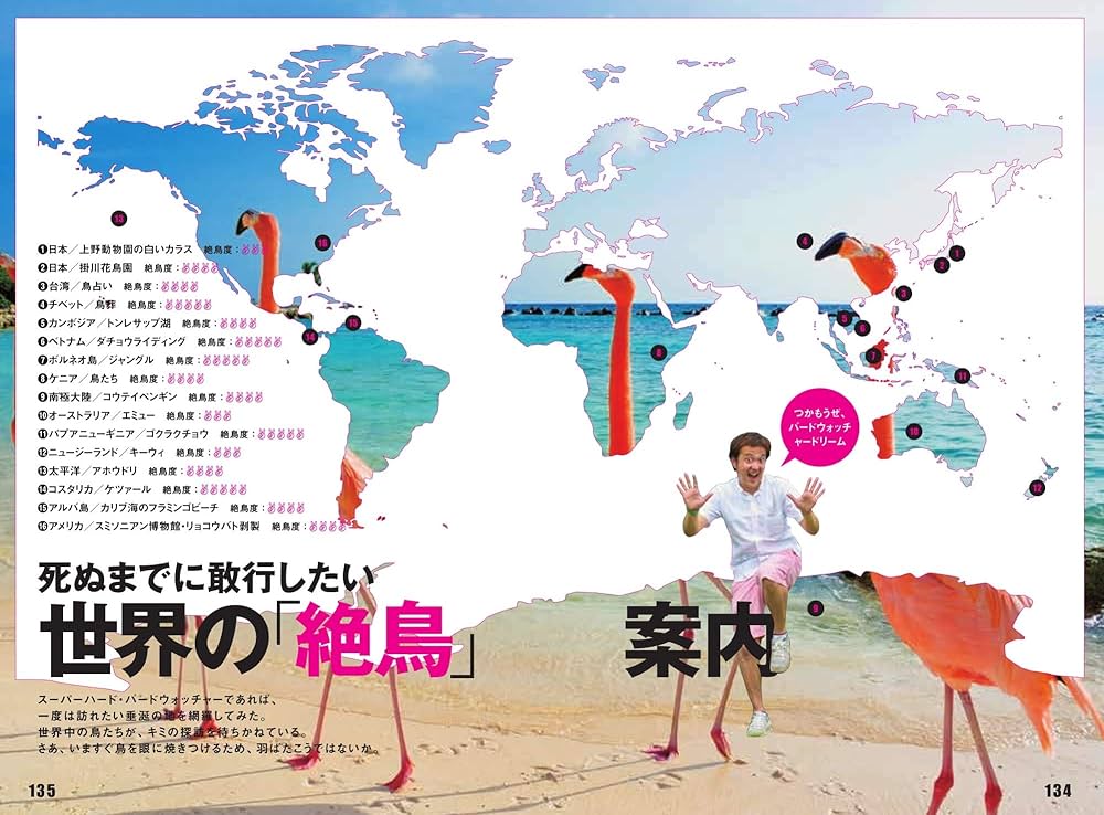 わさび　洋書　6点 わさび 洋書 6点 わさび 洋書 6点 わさび 洋書 6点 わさび 洋書