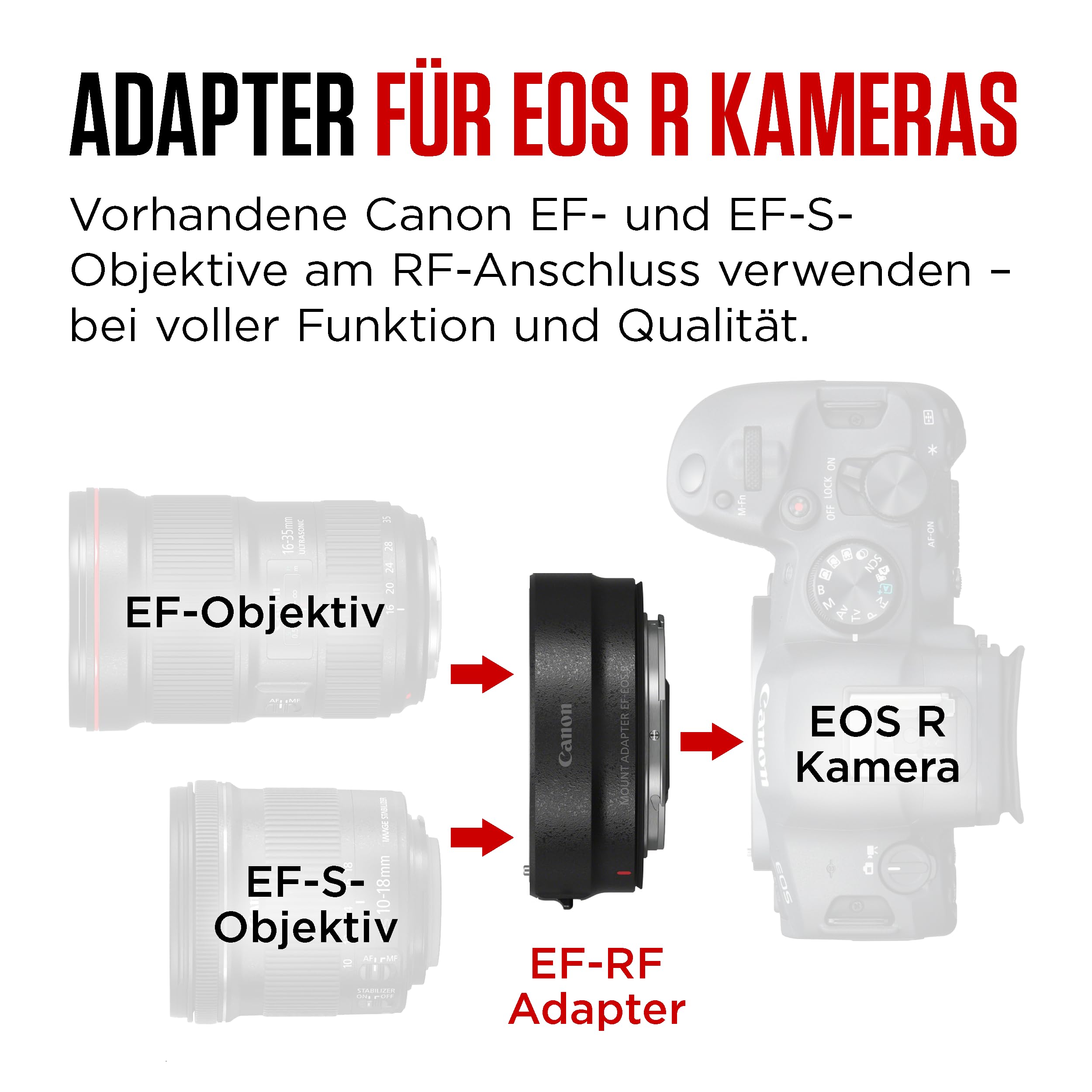 ⭐️美品⭐️Canon EF 75-300 II & EF-EOS R アダプター 【公式通販】