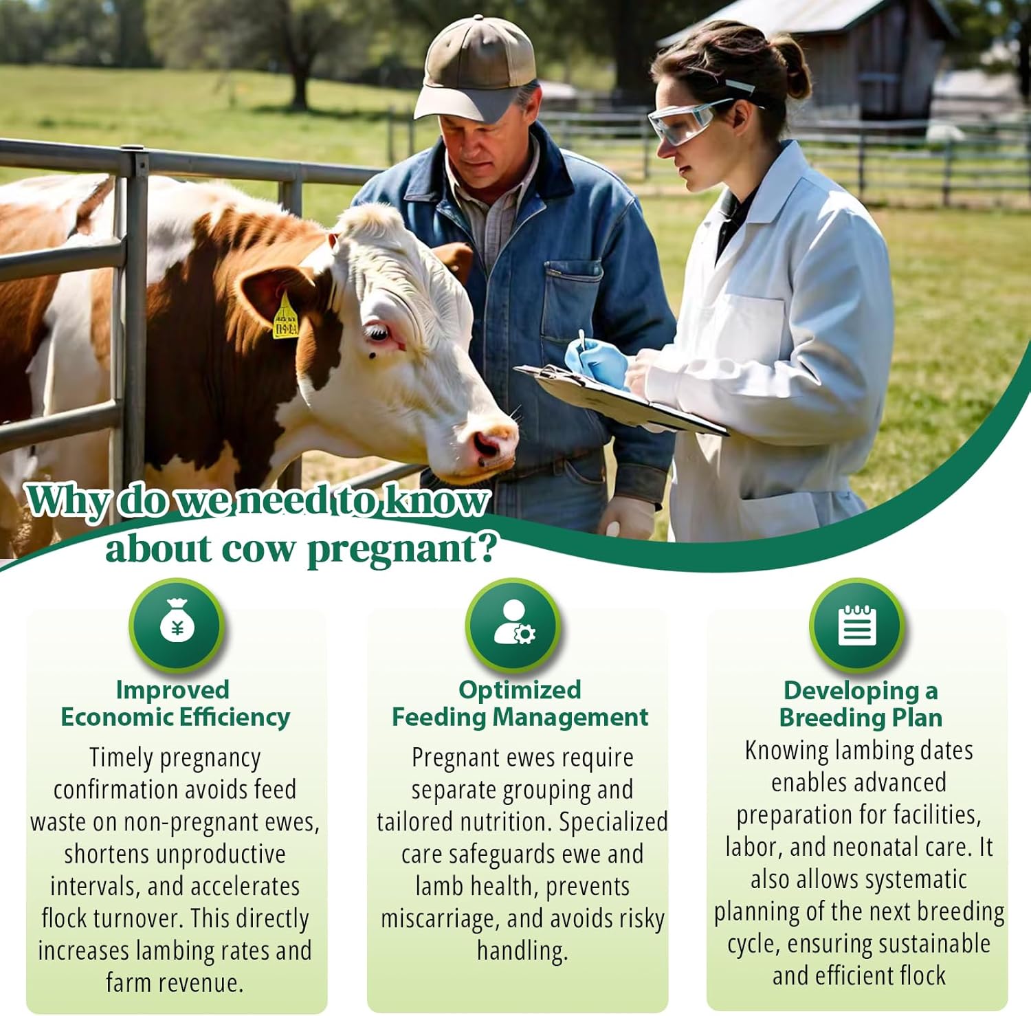 5-Pack Bovine Pregnancy Test Kit for Cows, Rapid Results in 5-20 Minutes, Works with Whole Blood, Serum & Plasma for Dairy & Beef Cattle