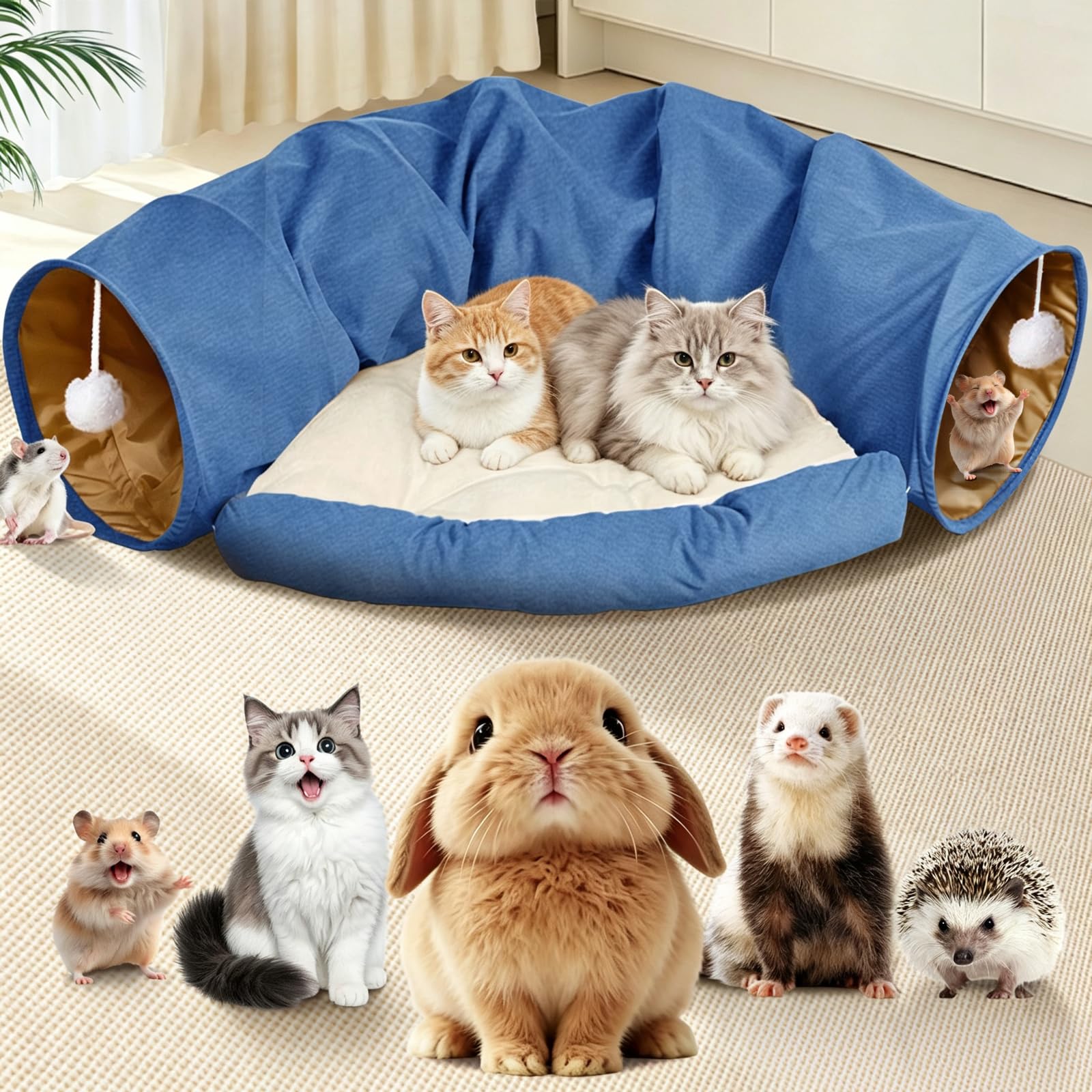 Spardar Tunnel pour Chat, Tunnel 2 en 1 pour Chat, Bleu