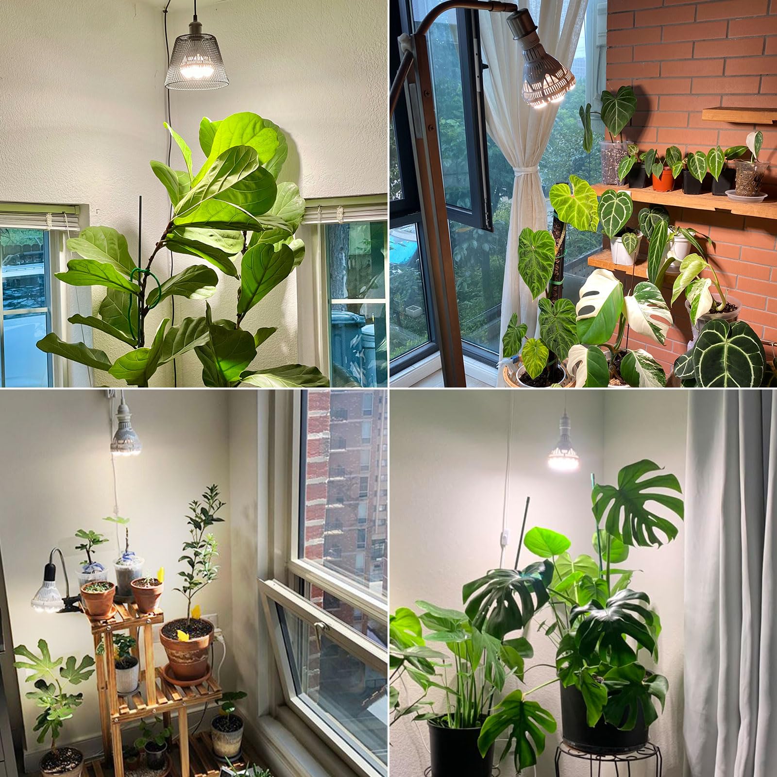 SANSI Lampara de Plantas Regulable, Bombilla de Crecimiento LED 40W E27, Luz Plantas Espectro Completo 4000K con Control Remoto, Minutero 4/8/12H, Brillo de 4 Niveles paras Cultivo Interior