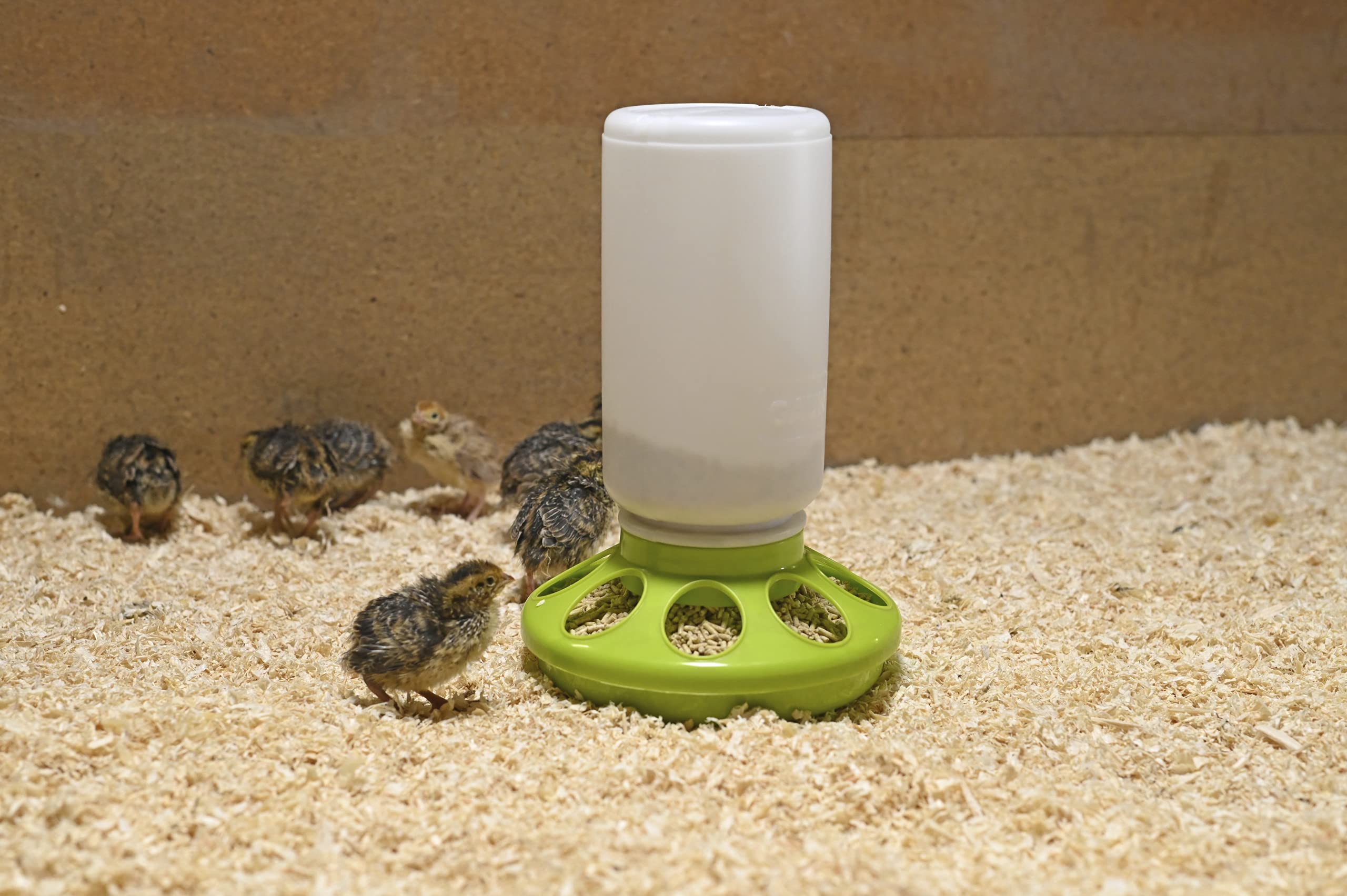 Gaun Chicken Feeder (One Size) (Green)