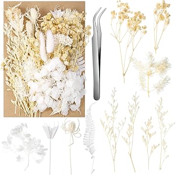 Fuyamp Fleurs Séchées, Fleurs Sechees Naturelles, Fleurs Séchées