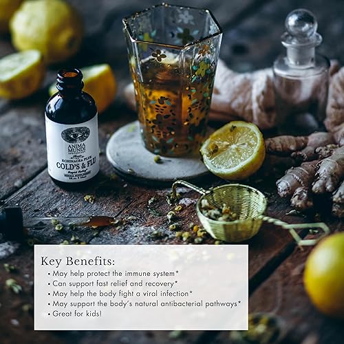 Miniatura 2 de Anima Mundi Apothecary Tónico para el resfriado y la gripe - Gotas de apoyo inmunológico con equinácea, ajo, raíz de cúrcuma y jengibre fresco,