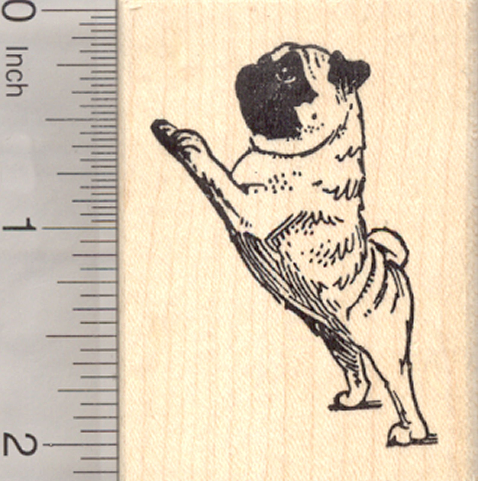 Pug Dog Rubber Stamp Begging On Hind Legs | Desertcart Seychelles, image size:1590x1600
